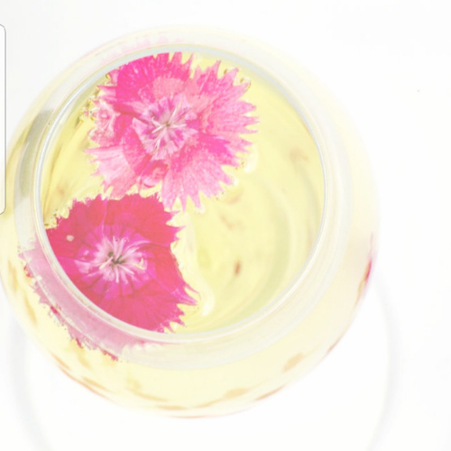 Untitled design (20).png