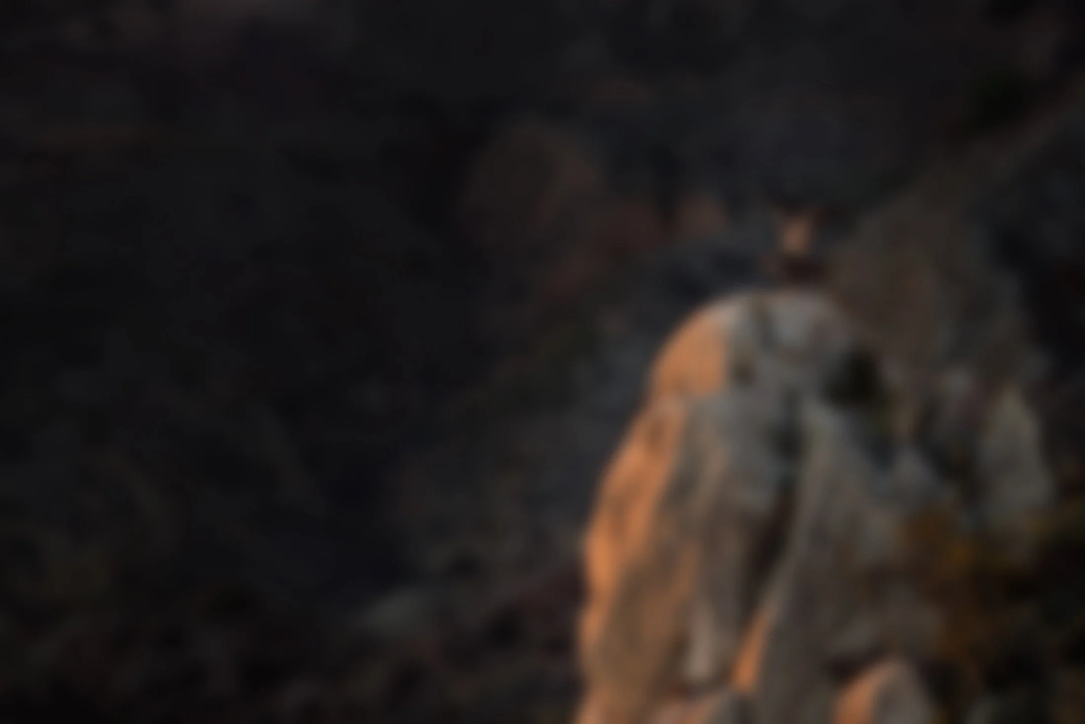 Two birds of prey perched on a large rock, with one bird flying nearby in a mountainous landscape at sunset.