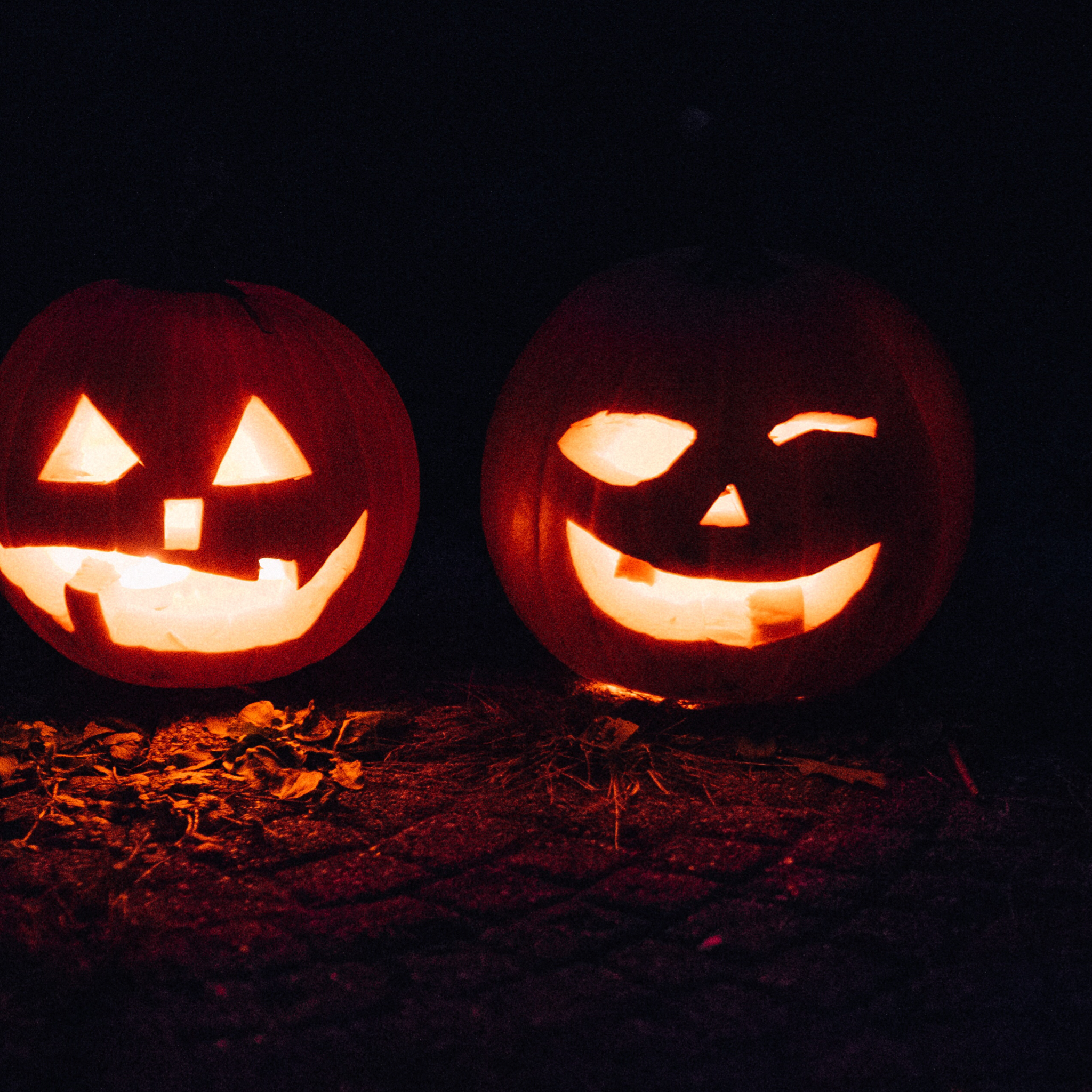 Trick or Treat... Happy Halloween!