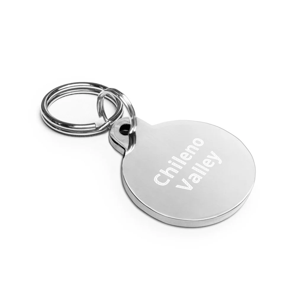 engraved-pet-id-tag-silver-back-6212e111d4f37.jpg