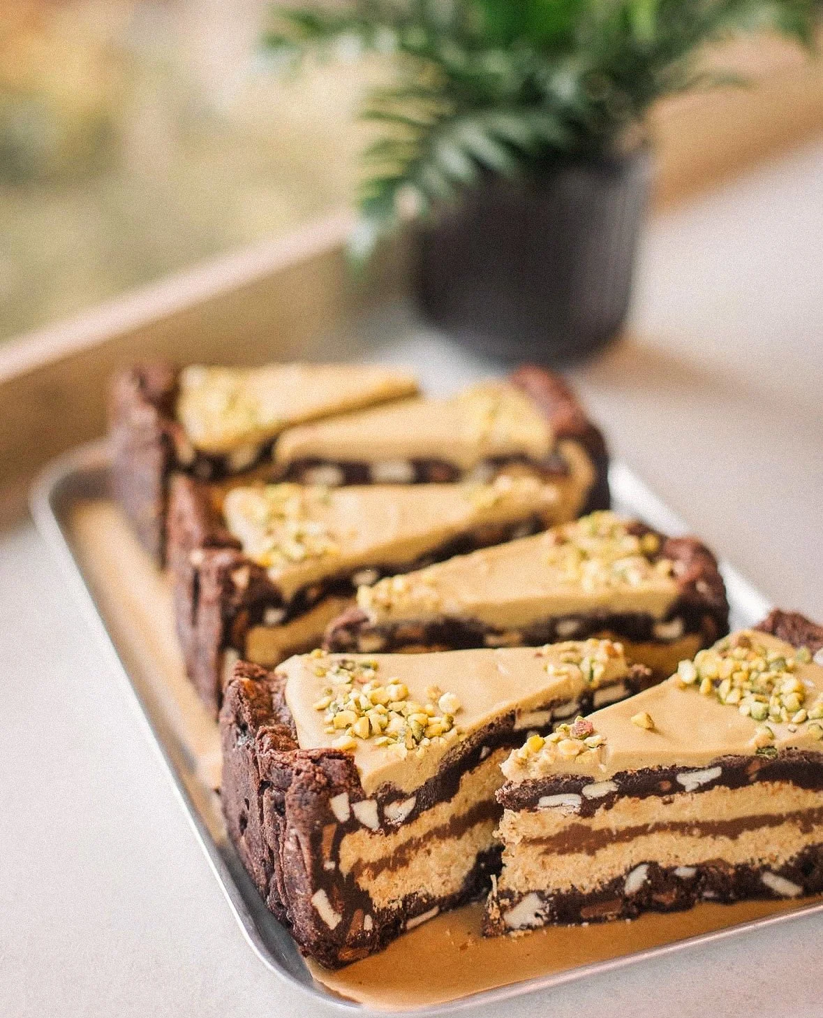A slice of layered chocolate and vanilla cake topped with caramel and chopped nuts on a tray, with a potted plant in the background.