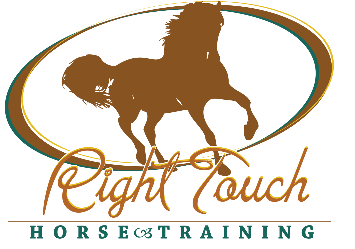 Right Touch Horse Training