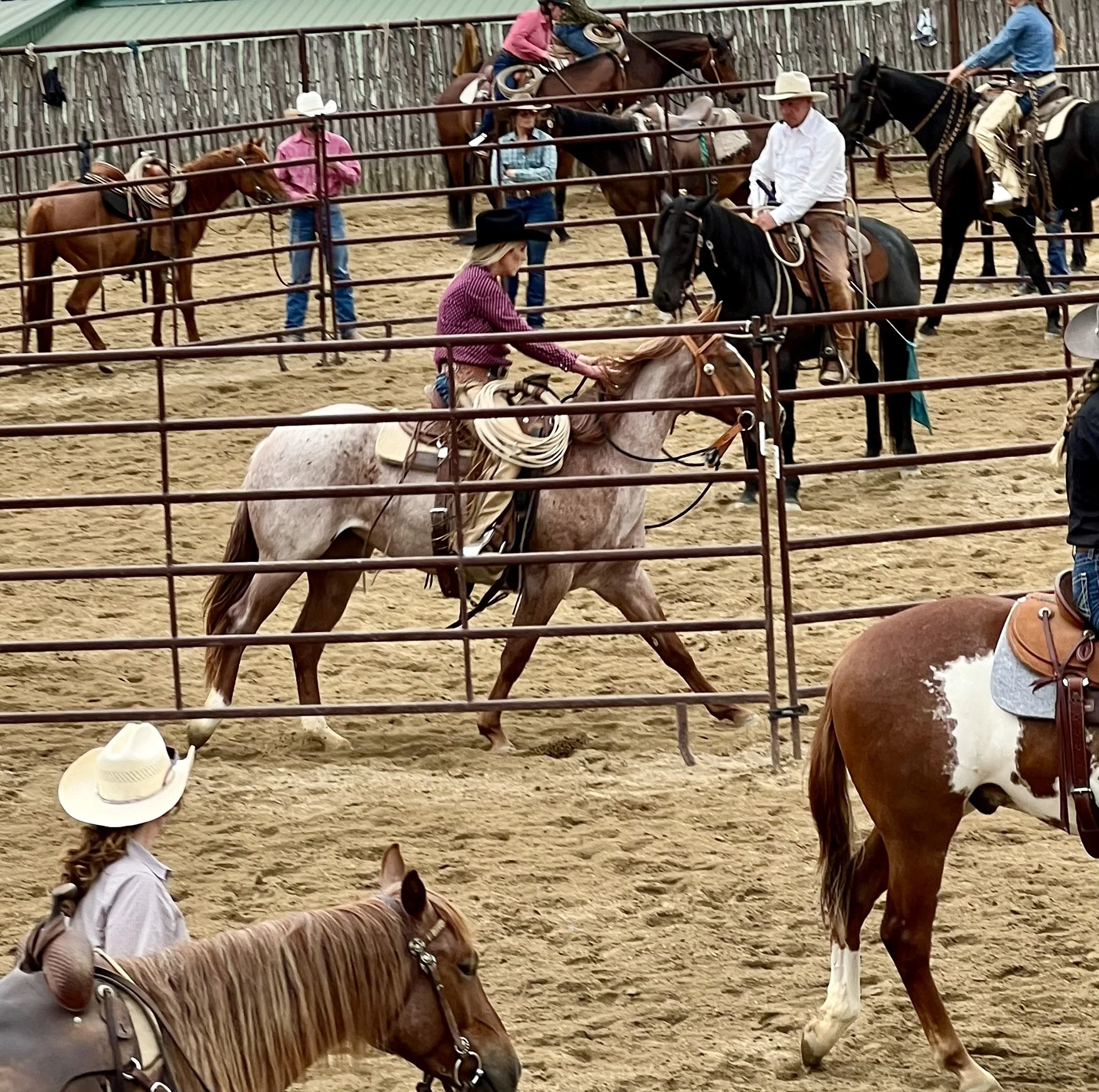 FullSizeRender (1).jpeg