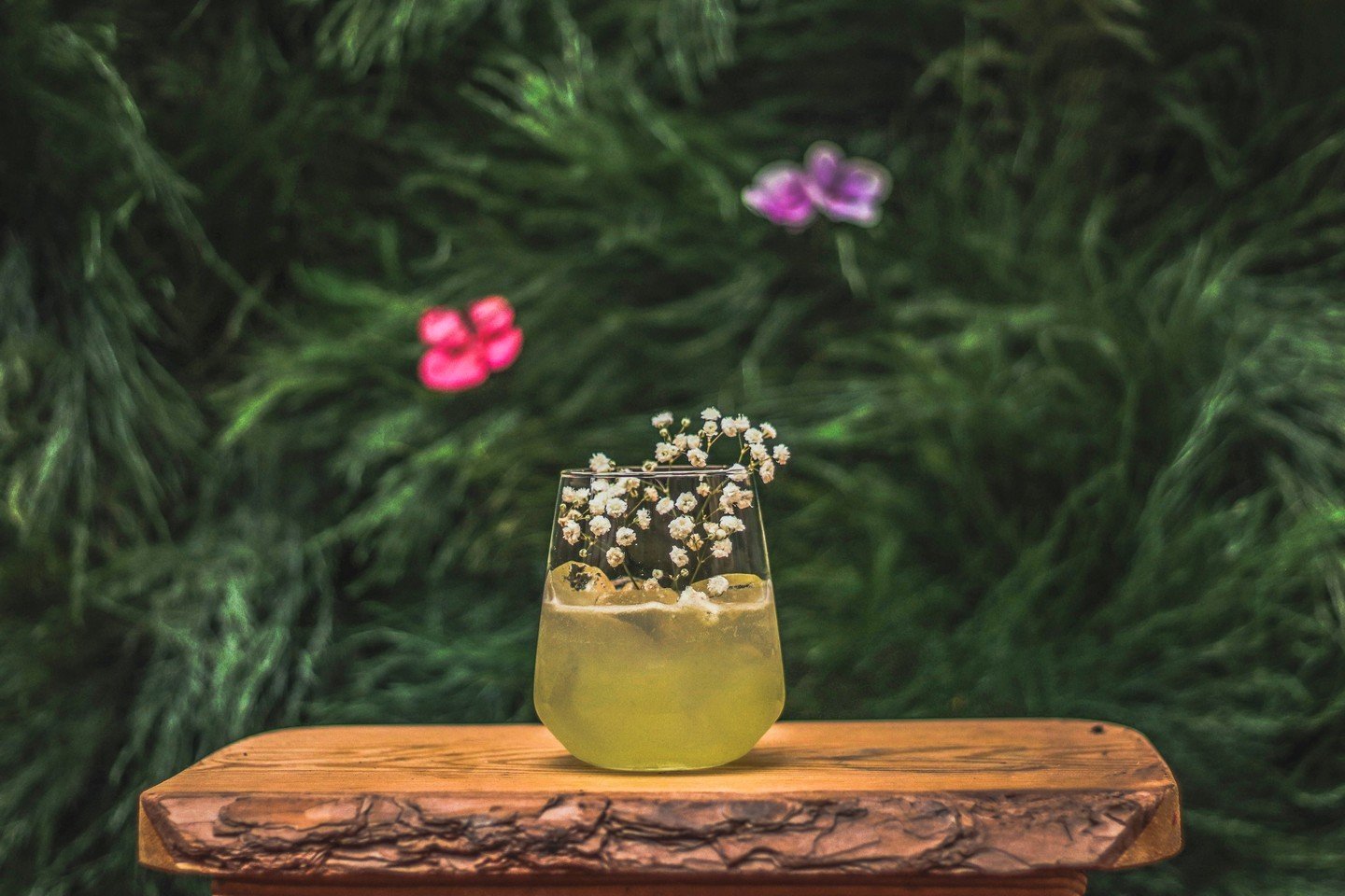 🌸 Embrace the season with our Spring, Sip &amp; Shake Cocktail Class! 🌸
ㅤ
Sat, April 13, 6&ndash;7pm, Learn to create three spring cocktails with Dezeray King, a top-voted bartender in Waco! 
ㅤ
Learn to make:
ㅤ
🍋 Lemon Chamomile Gin Fizz: A vibran