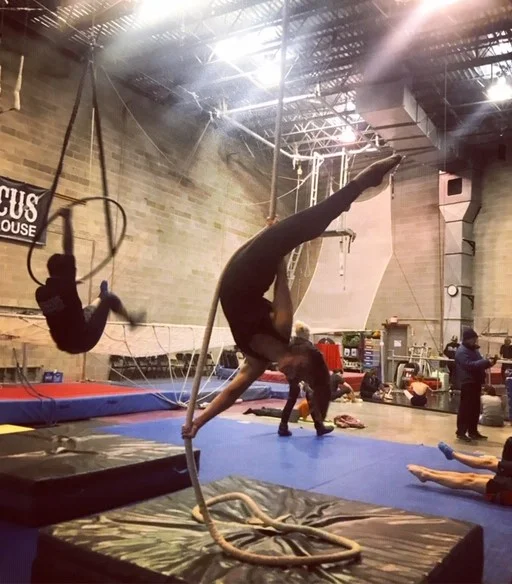 scorpion-crop.jpg