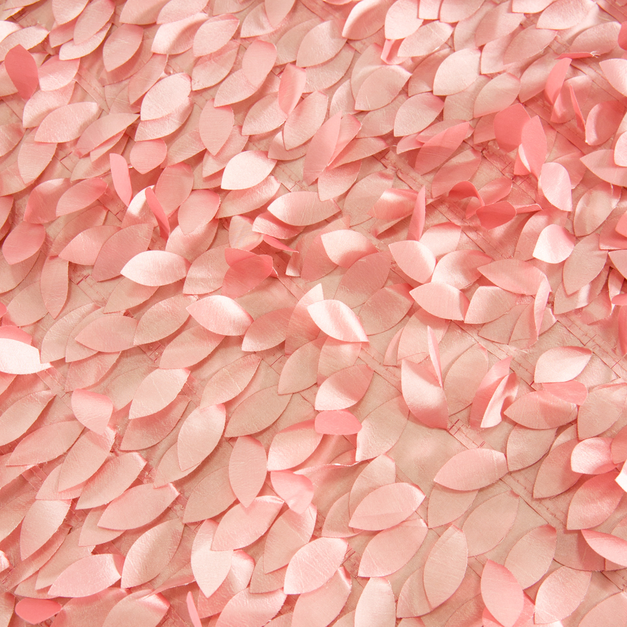 Gatsby Blush whitedoor-394.jpg