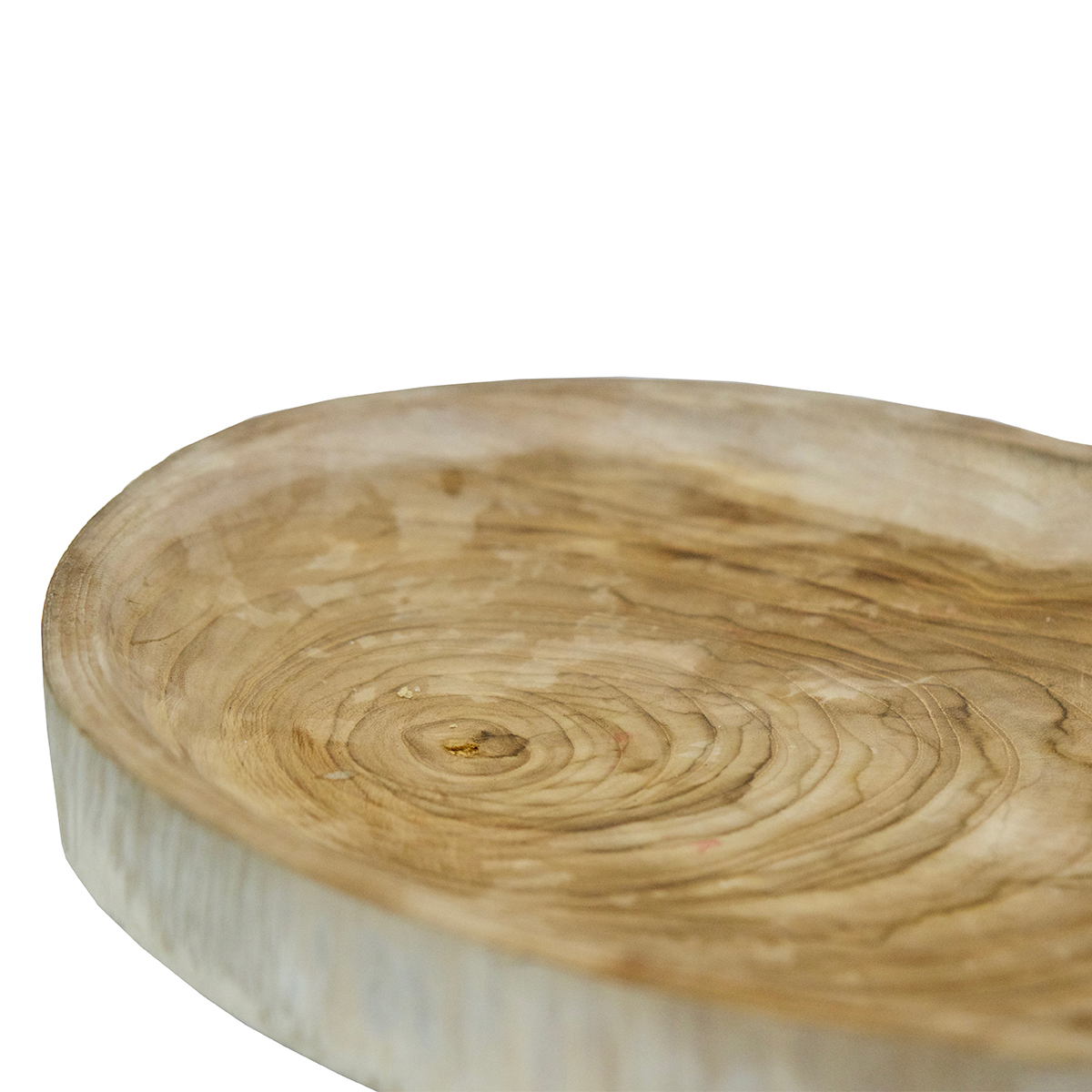 small tree slice 5.jpg