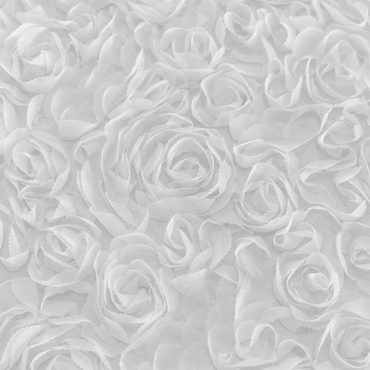 whitedoor-818.jpeg