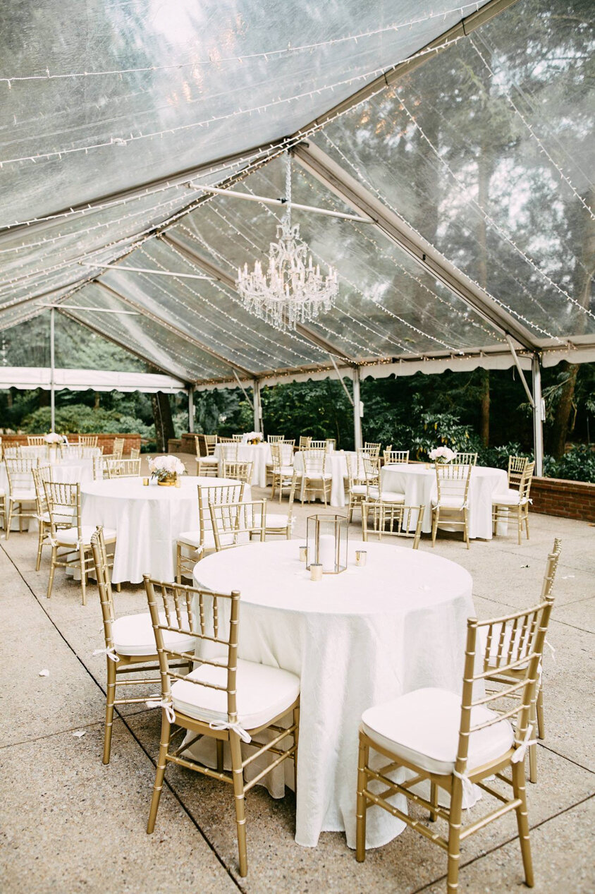 CLEAR FRAME TENT •&nbsp;STING LIGHTING