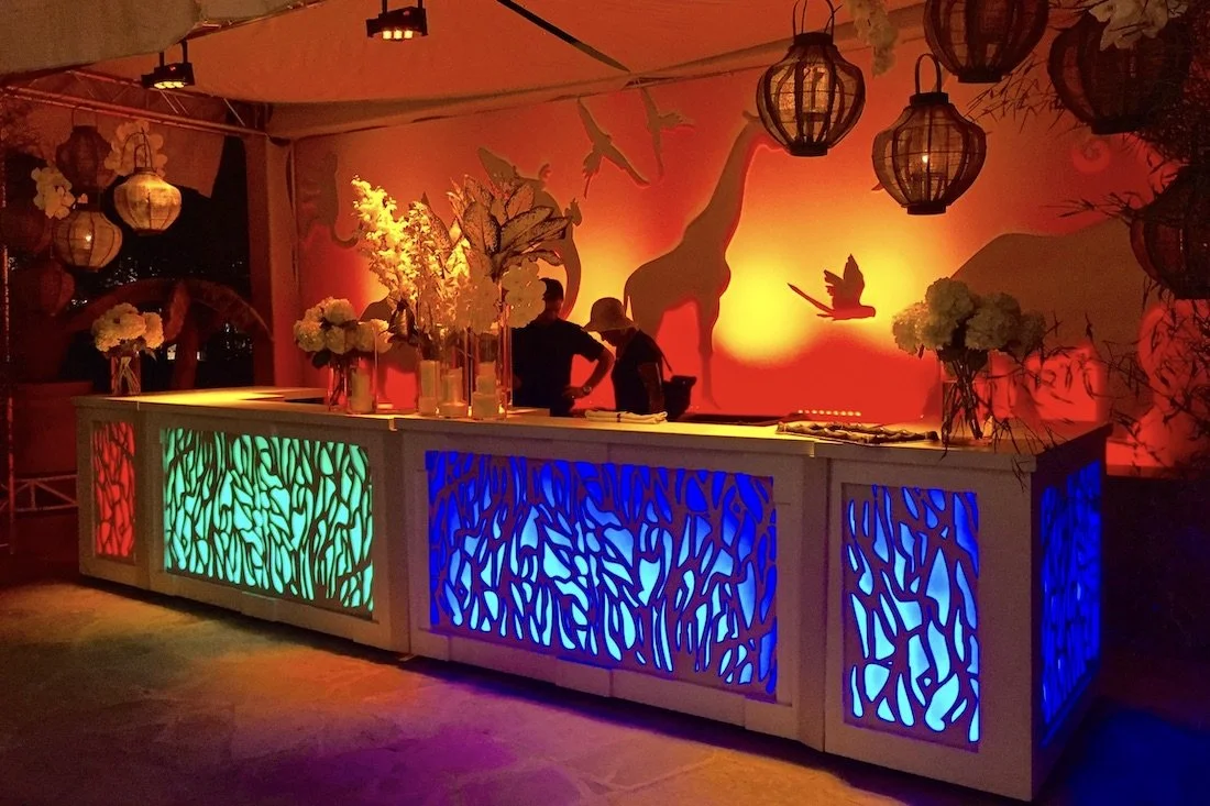 chameleon bar branches front.JPG