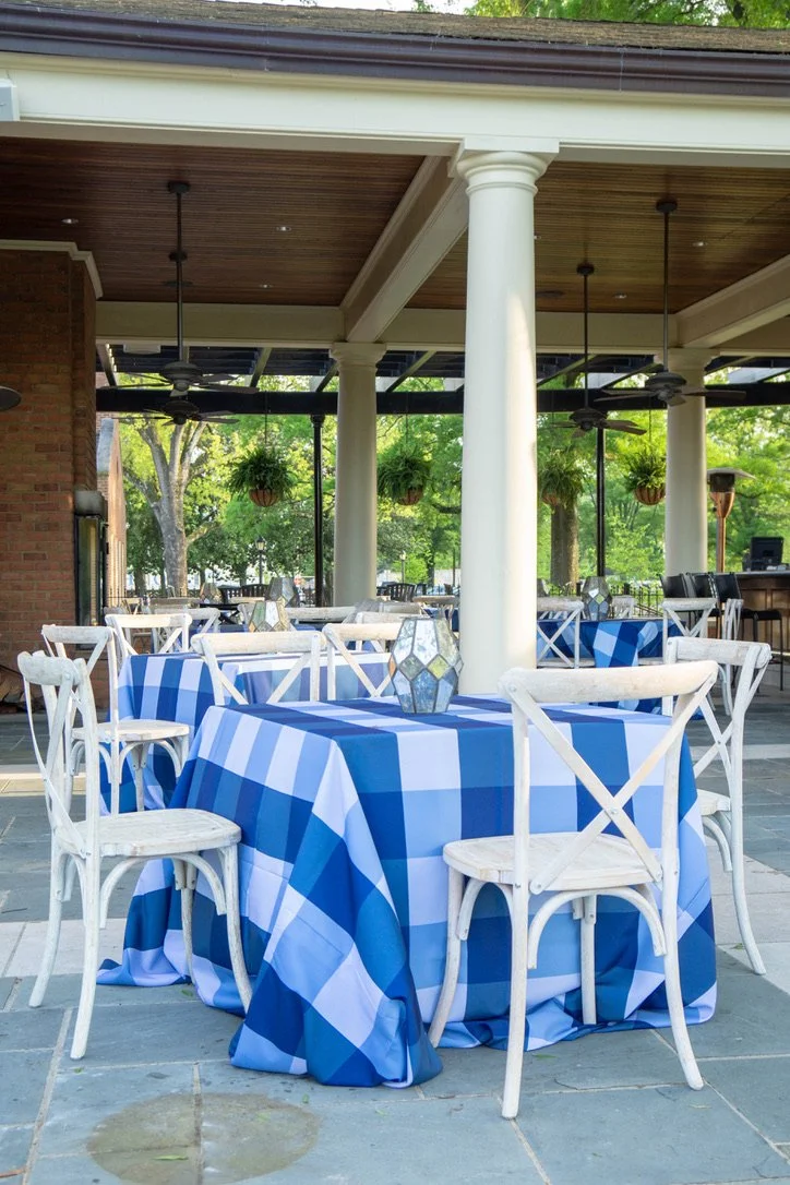 blue big check linen.jpeg