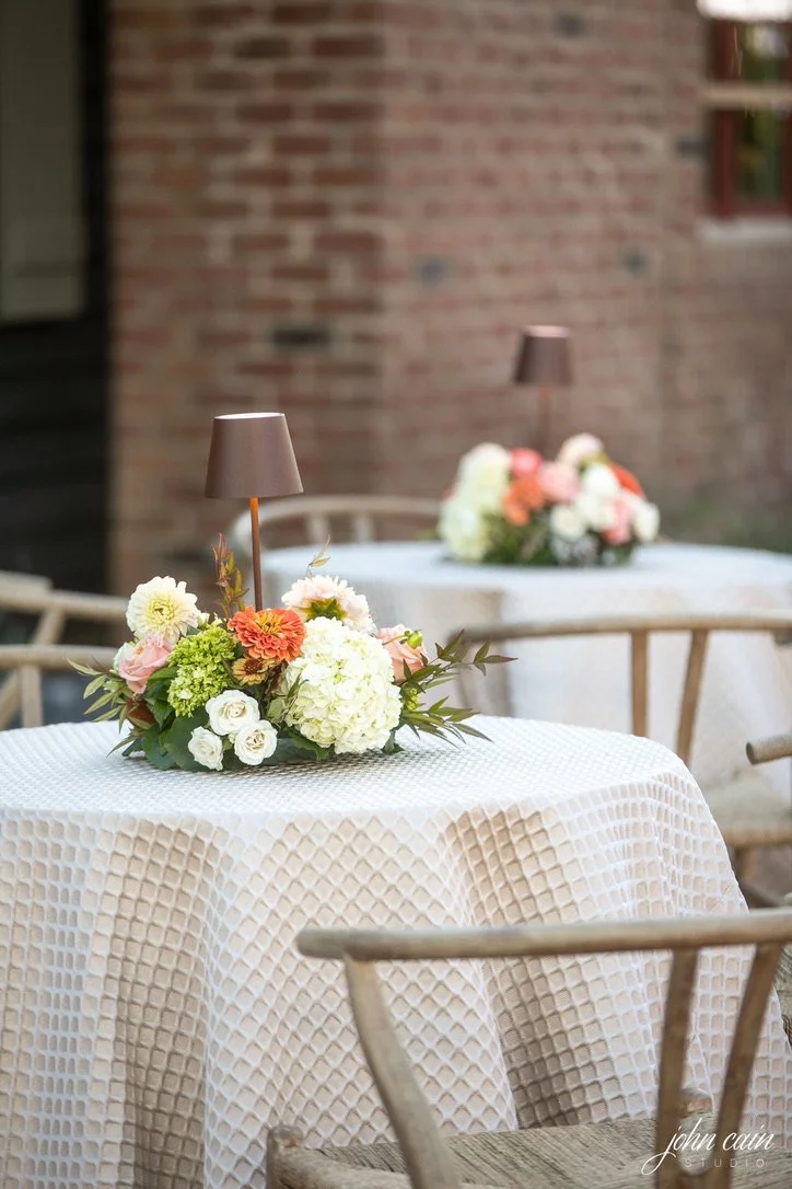 tommie taupe linen.jpeg