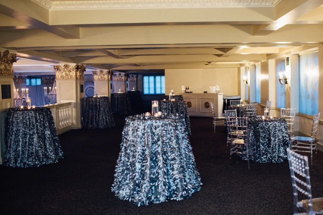 silver gastby linen.jpeg