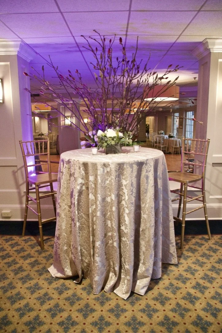 Transquil Somerset.jpeg