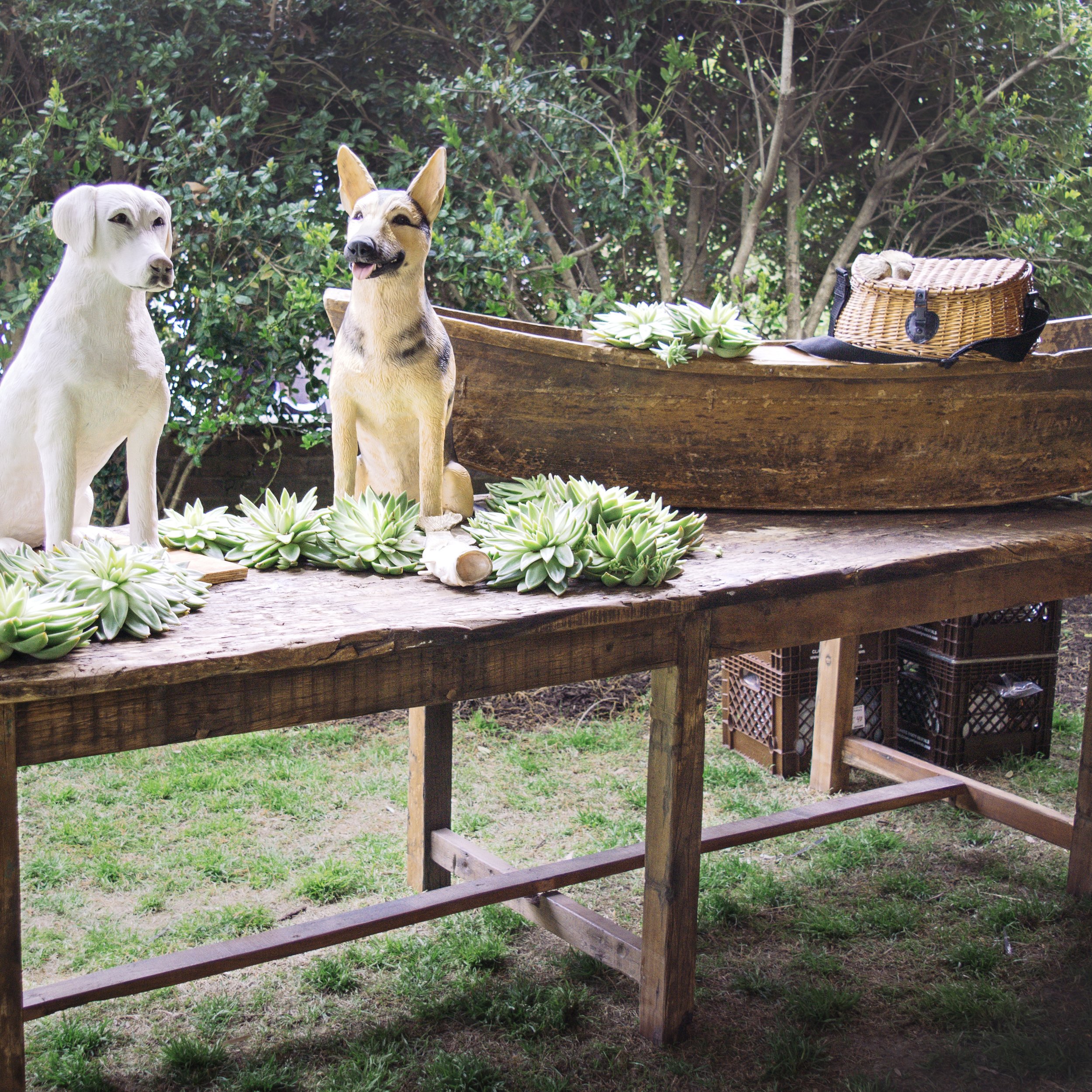 rice paddy boat.jpeg