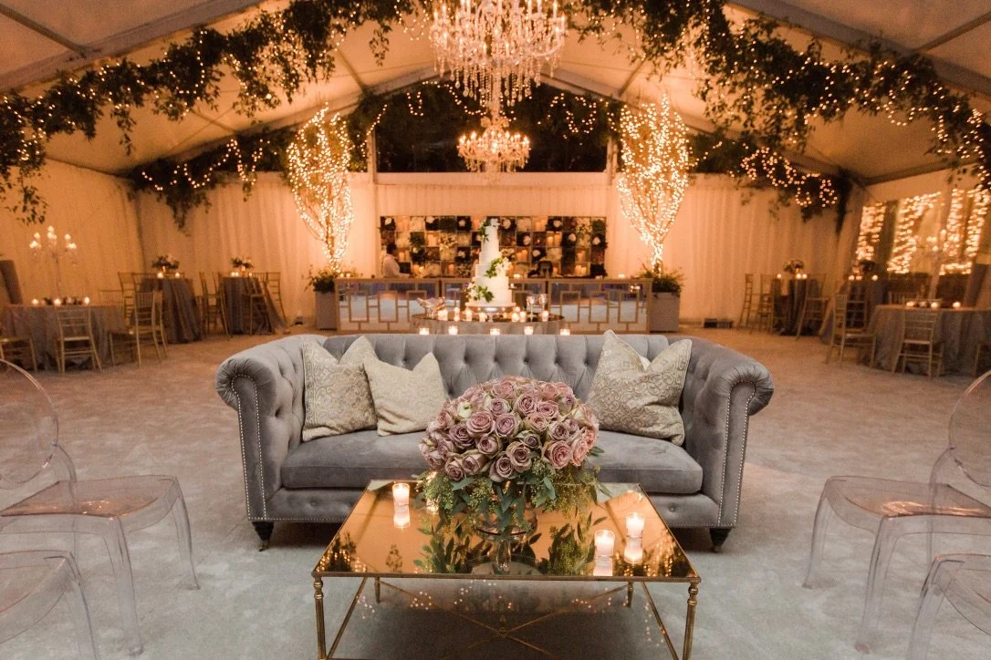 Medallion Beige Silver Pillow.jpeg