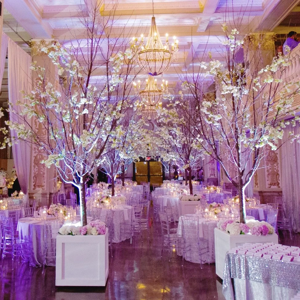 weighted tree box.jpeg