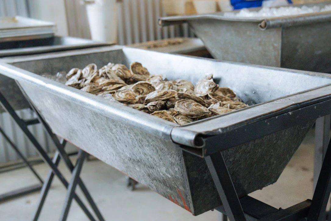 galvanized tub on stand.jpeg