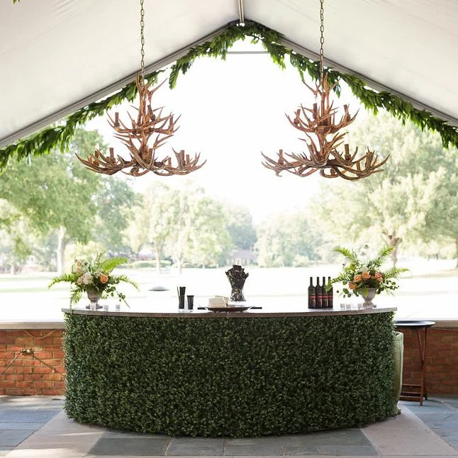 eve boxwood bar.jpeg