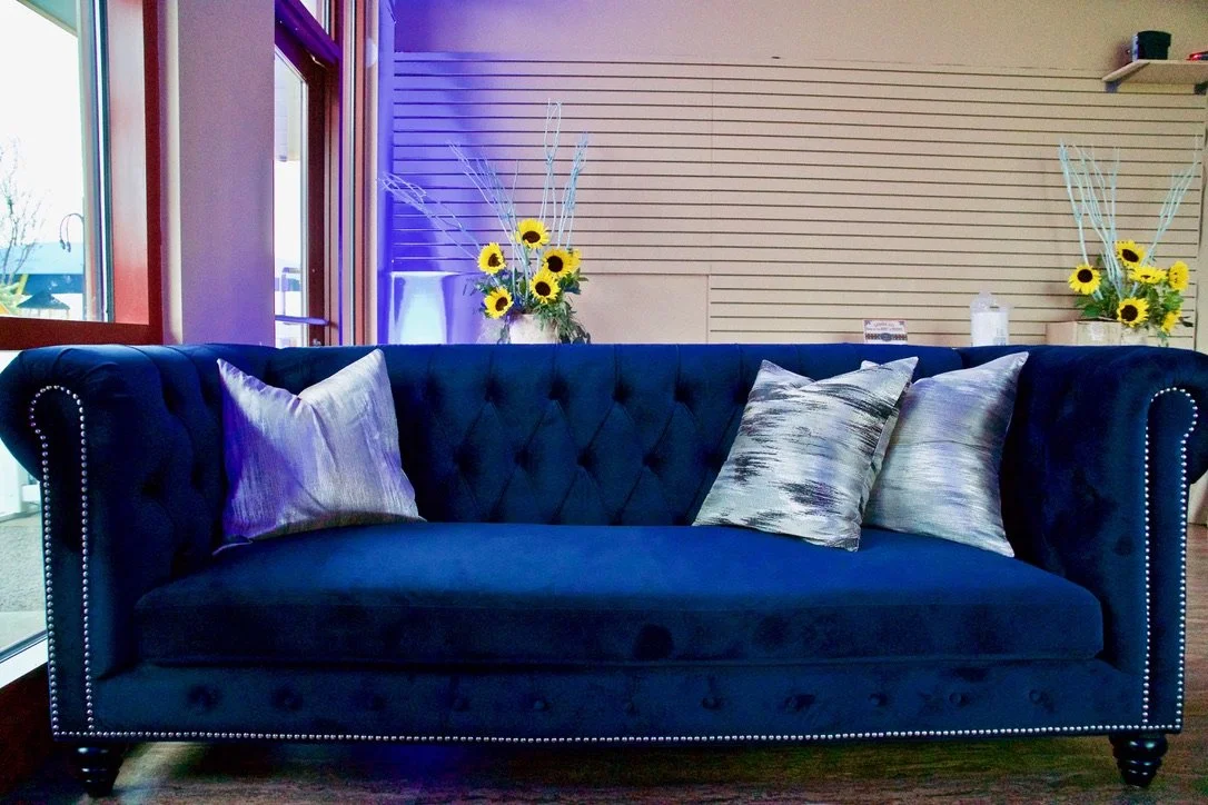 silver sunbelt pillow.jpeg