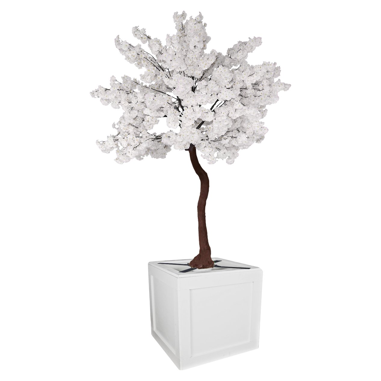 Blooming Tree White on Planter.jpg