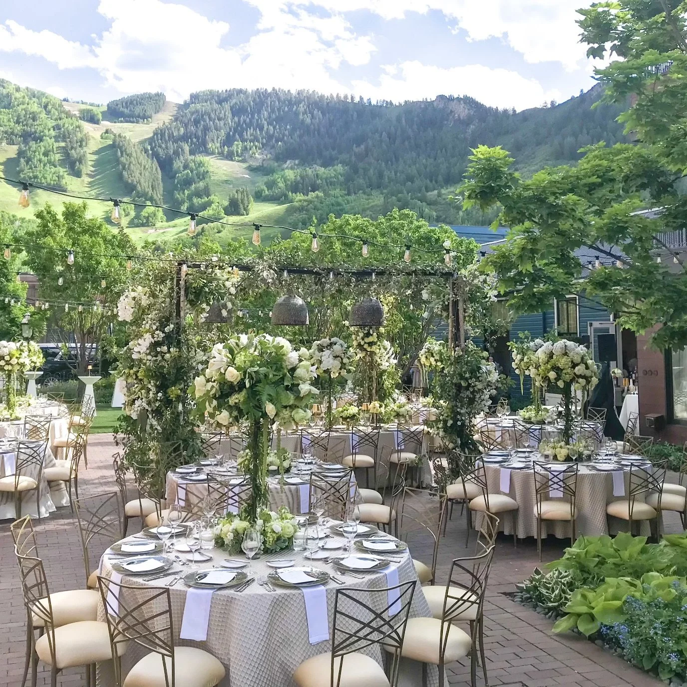 Chameleon Chair.jpeg