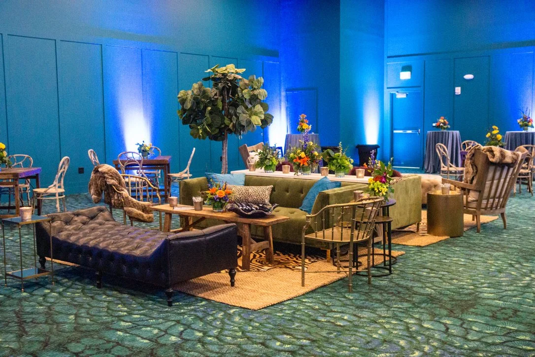 Fiddle Fig Tree 2.jpeg