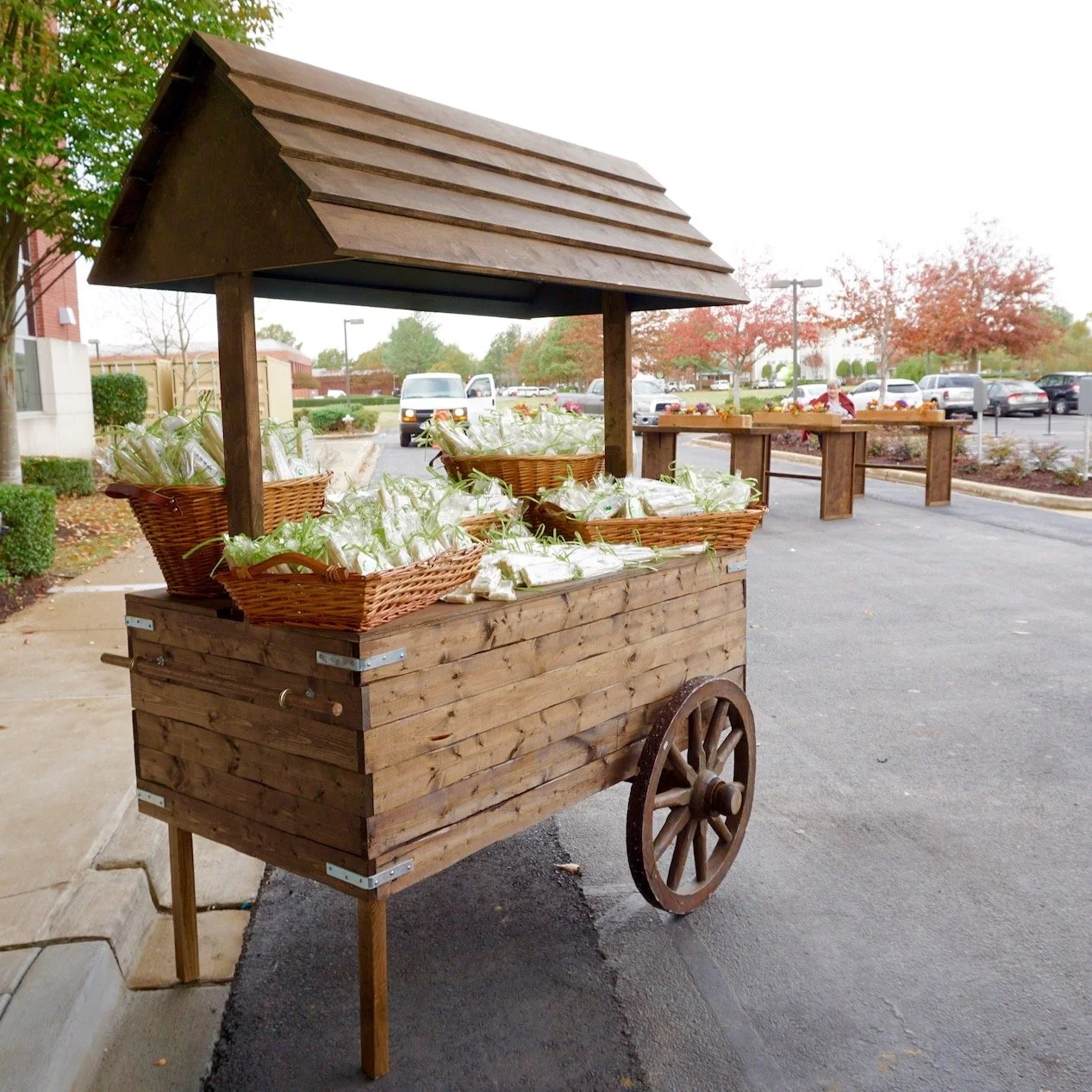 wicker baskets.JPG