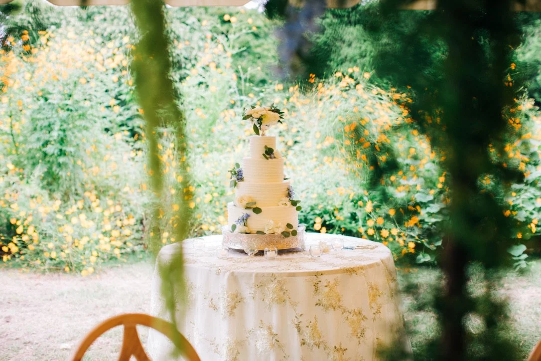 Ribbon Mesh Ivory Linen 2.jpeg