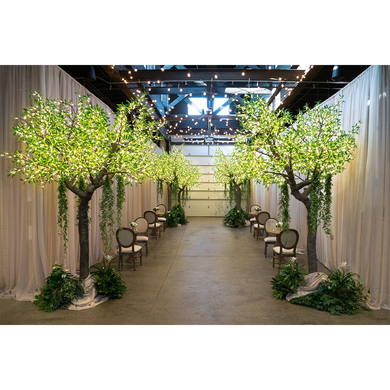 LED Olive Tree.jpg