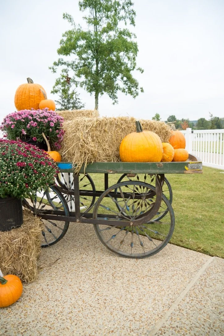 Street Vendors Cart 3.jpeg