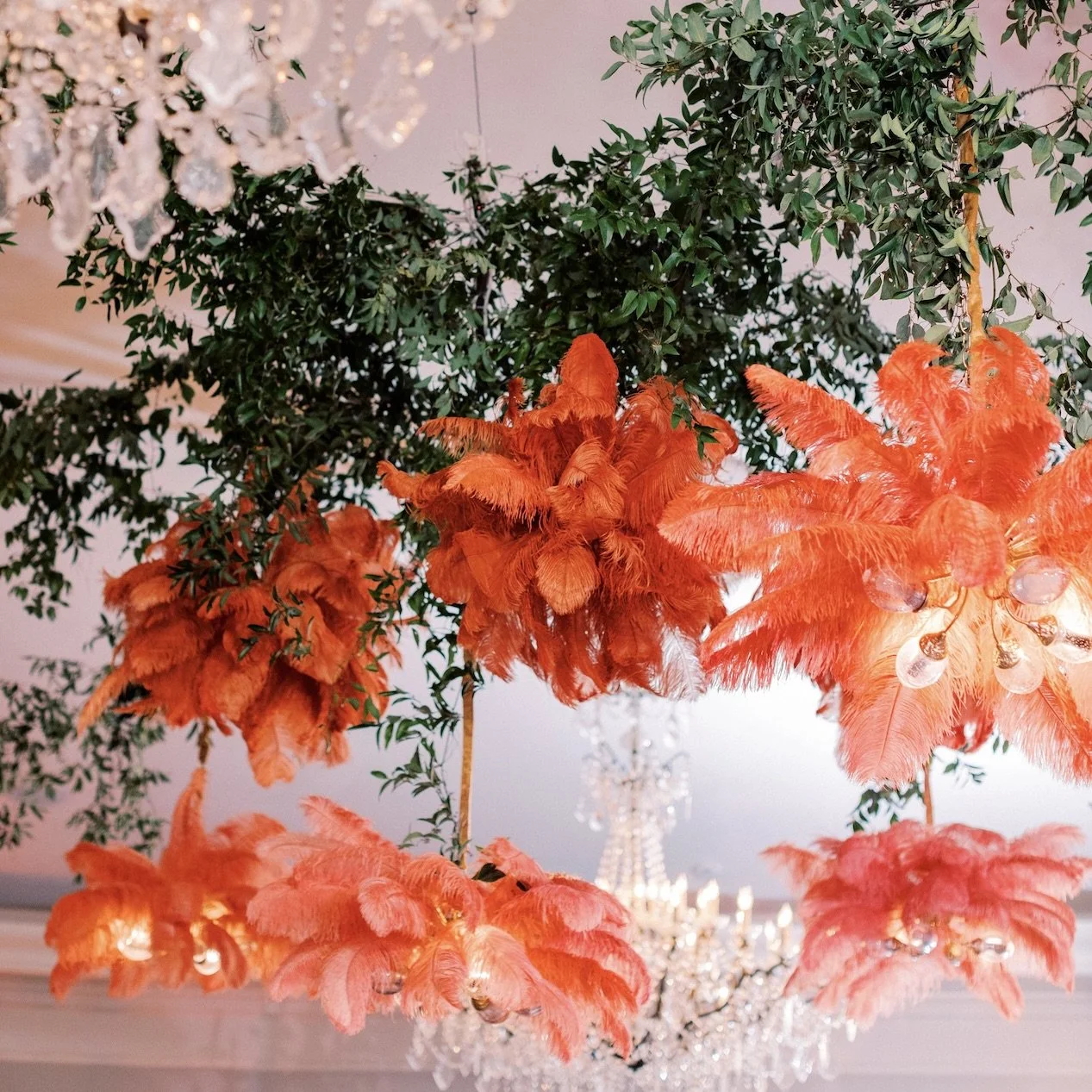 alexis feather chandelier.jpeg