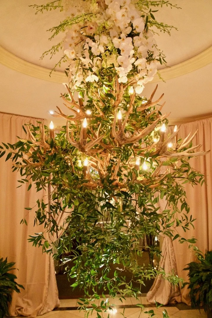 Antler Chandelier 15.jpeg