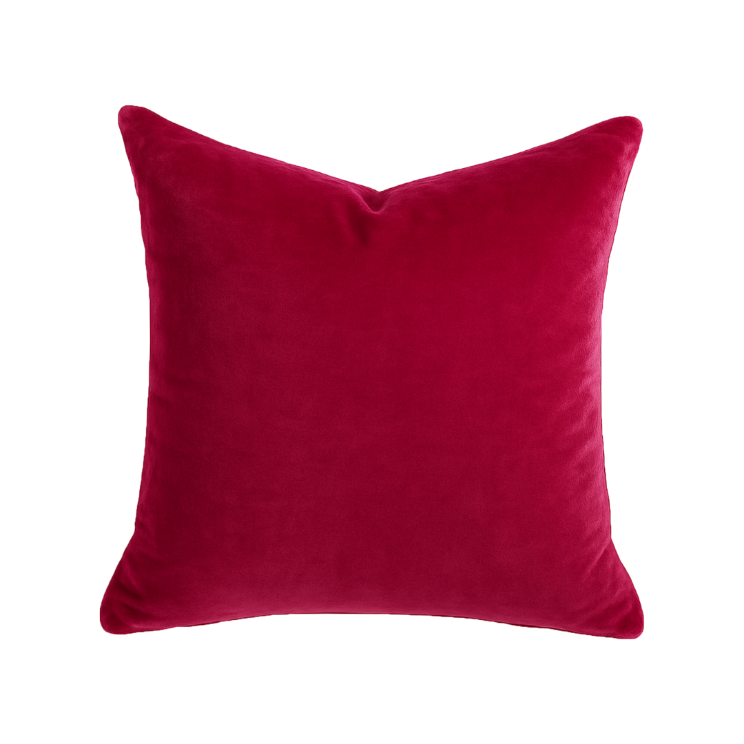 RASPBERRY VELVET PILLOW