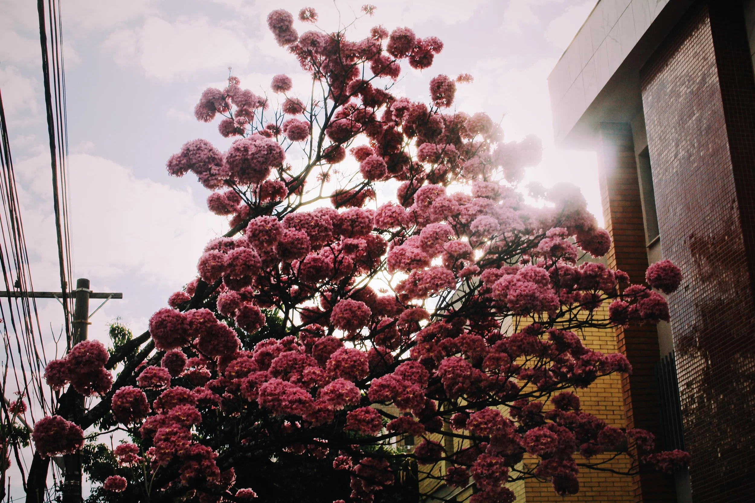  Belo Horizonte, Brazil, Jul 17 