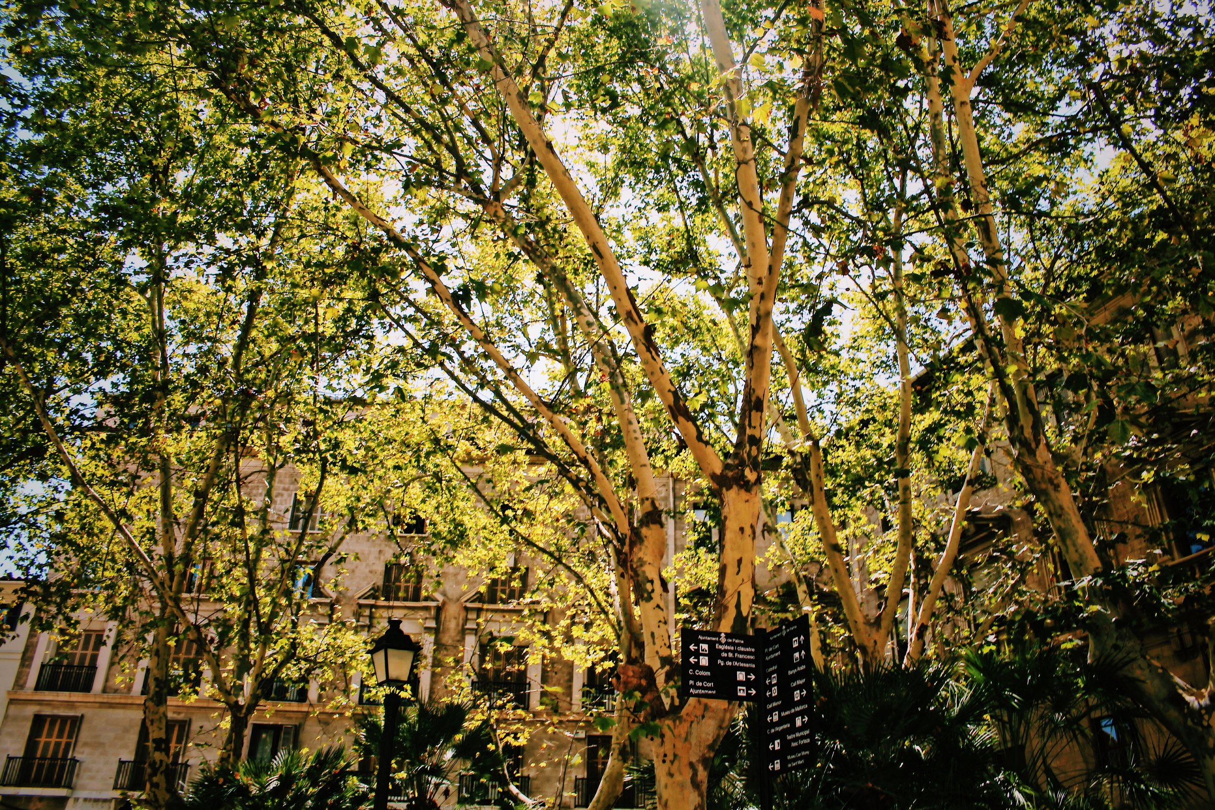  Mallorca, Spain, Aug 17 