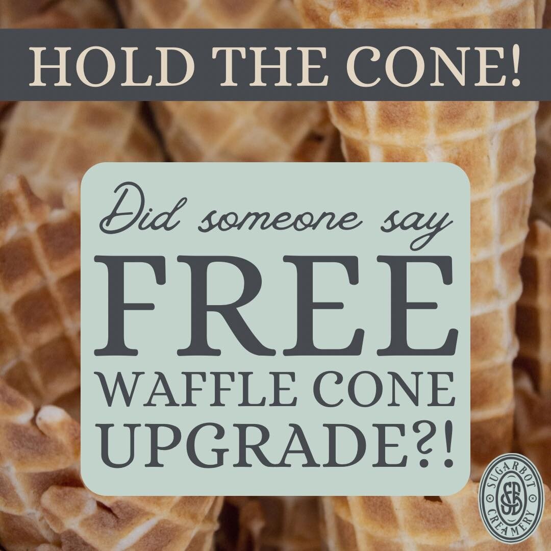 Join us to celebrate National Ice Cream Day tomorrow with some house-made ice cream and a free waffle cone! 🧇🍦🍨

Buy any scoop(s), get a free waffle cone! 😍

#housemadeicecream #creamery #icecream #stcharles #sugarbotcreamery #mainstreetstc #disc