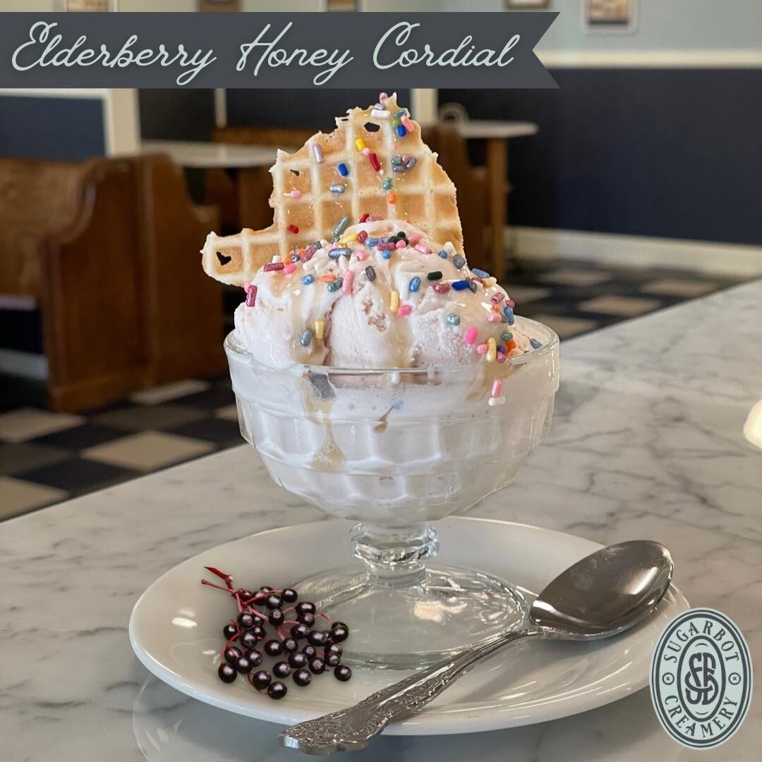 New Limited Summer Flavor! 🍯🫐

Our Elderberry Honey Cordial has perfectly tart and tangy elderberries with unfiltered organic honey and a sweet cream base. 

Be sure to try one before they buzz out of here! 🐝

#housemadeicecream #housemade #creame