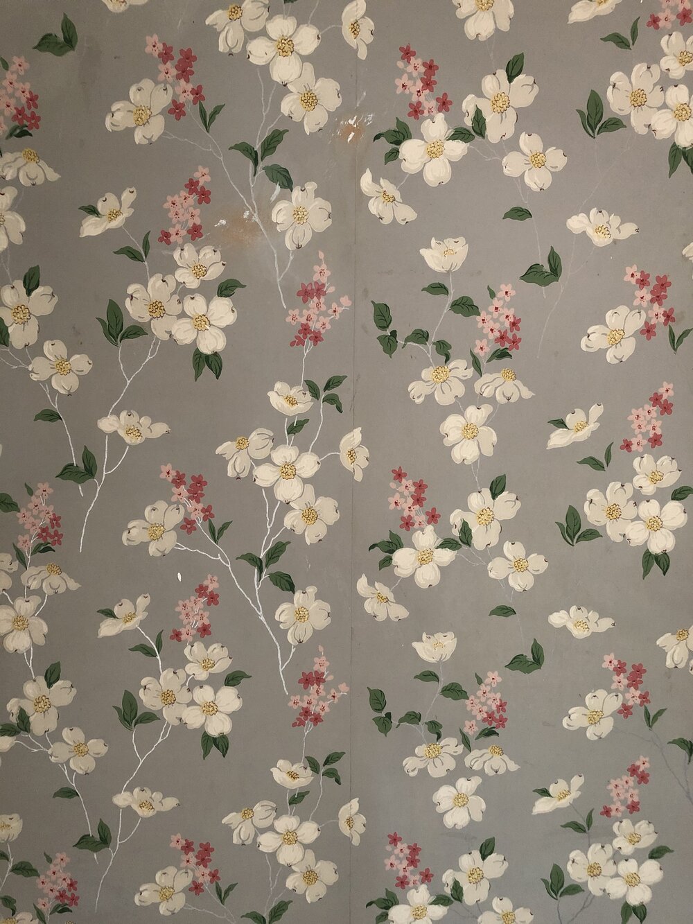 vintage floral wallpaper.jpg