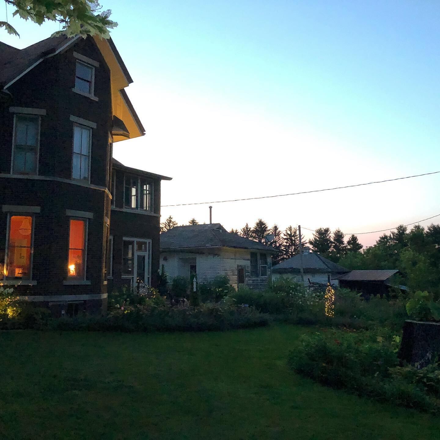 A beautiful sunset in the side garden! We have just a few fireflies left as we move into giant killer mosquito season. 😓🦟 💕