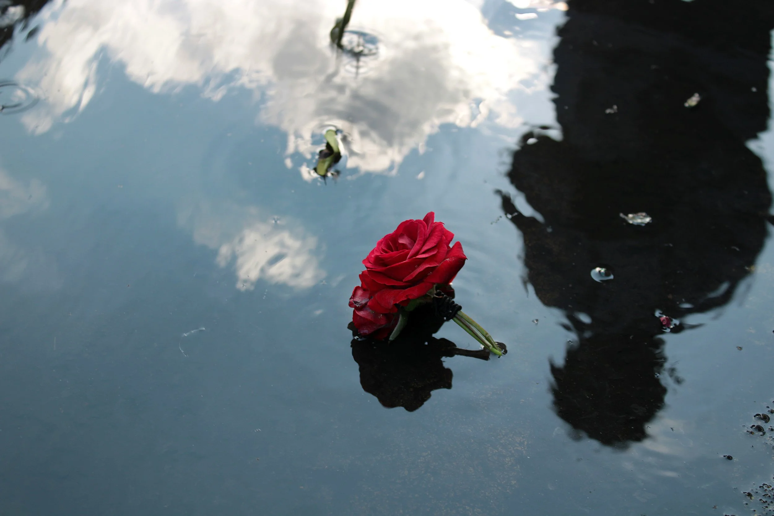 Painting roses red – Edith age 13