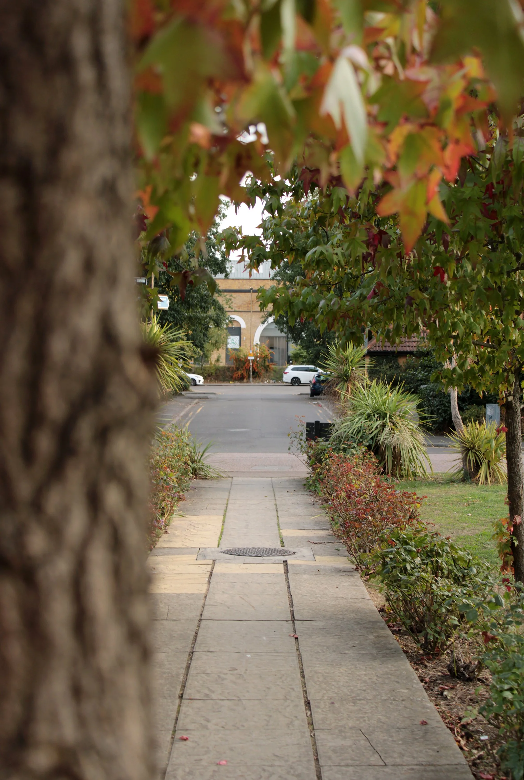  Nature Sweeps Still – Timmy age 16