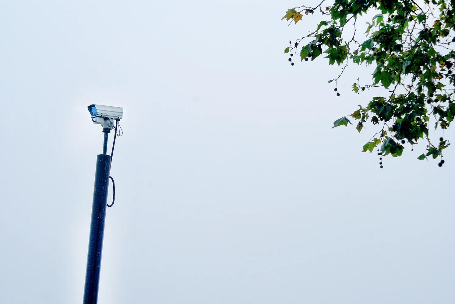  The sky represents isolation and the leaves on the trees represent the natural world. What this image shows is that no matter where you go, there will always be someone watching you  - Colin (17) 