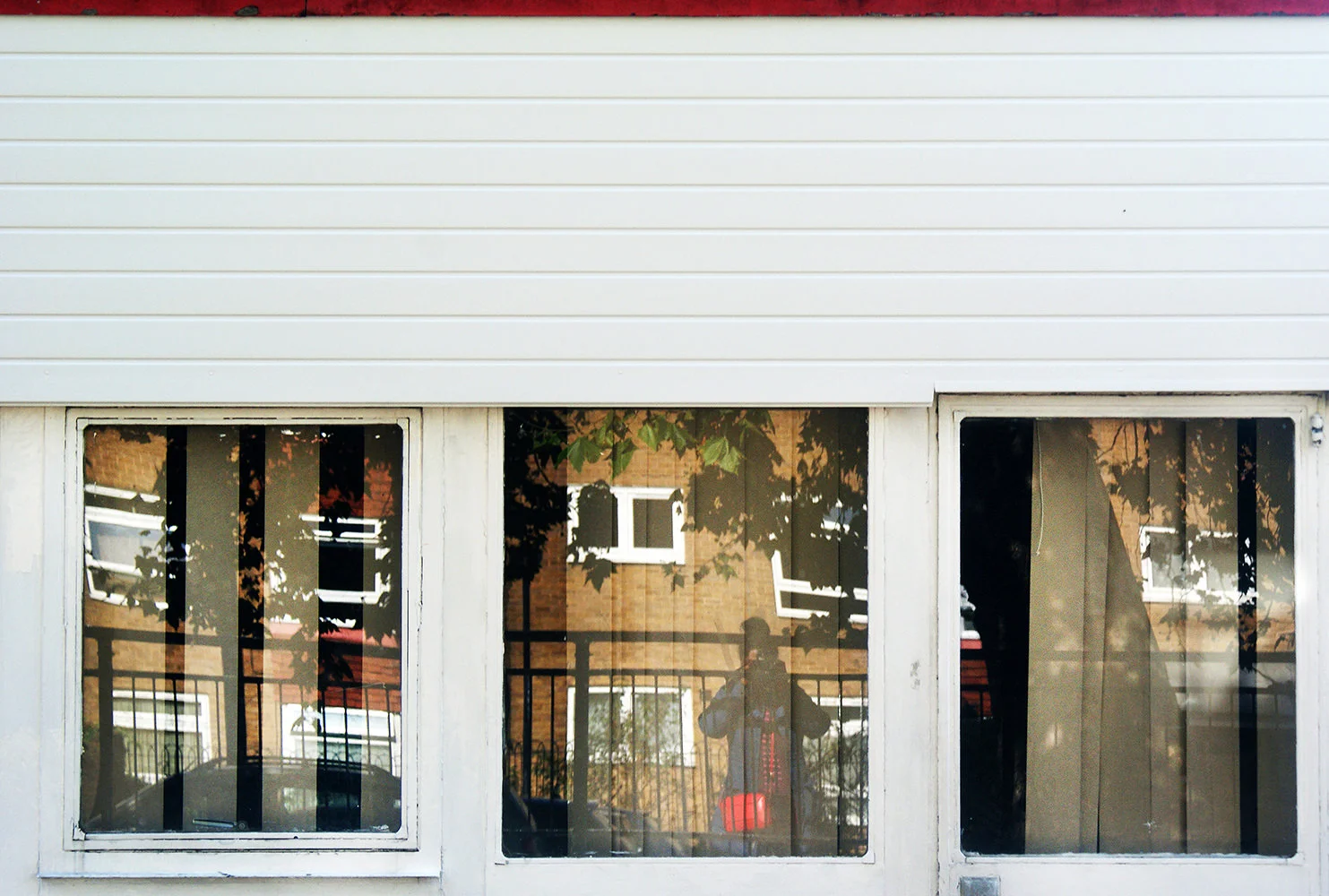  So many things can bounce back off a window  - Dana (14)   