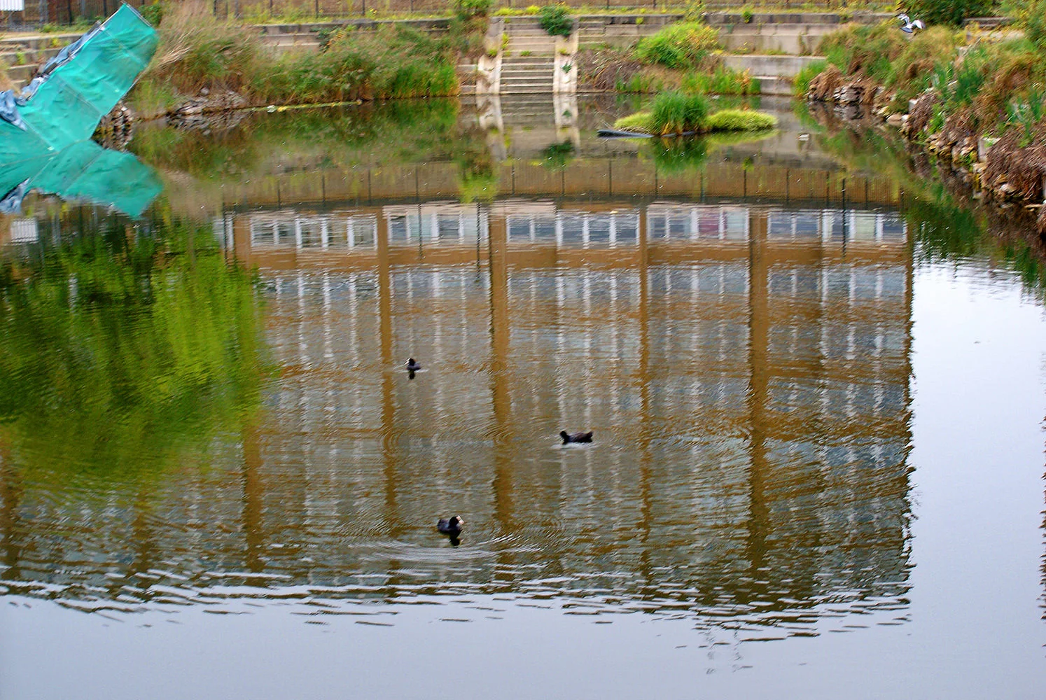  Reflection in dirty water  - Kasey (16) 