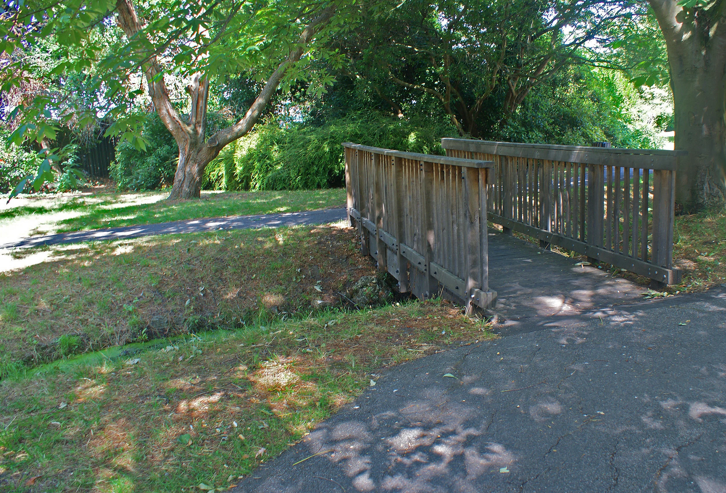 Photo by Ann Birmingham