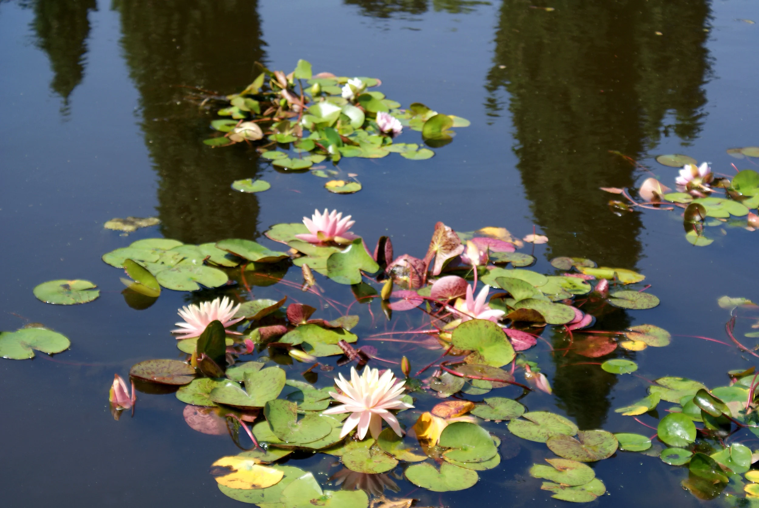 Photo by  Jean Eaton