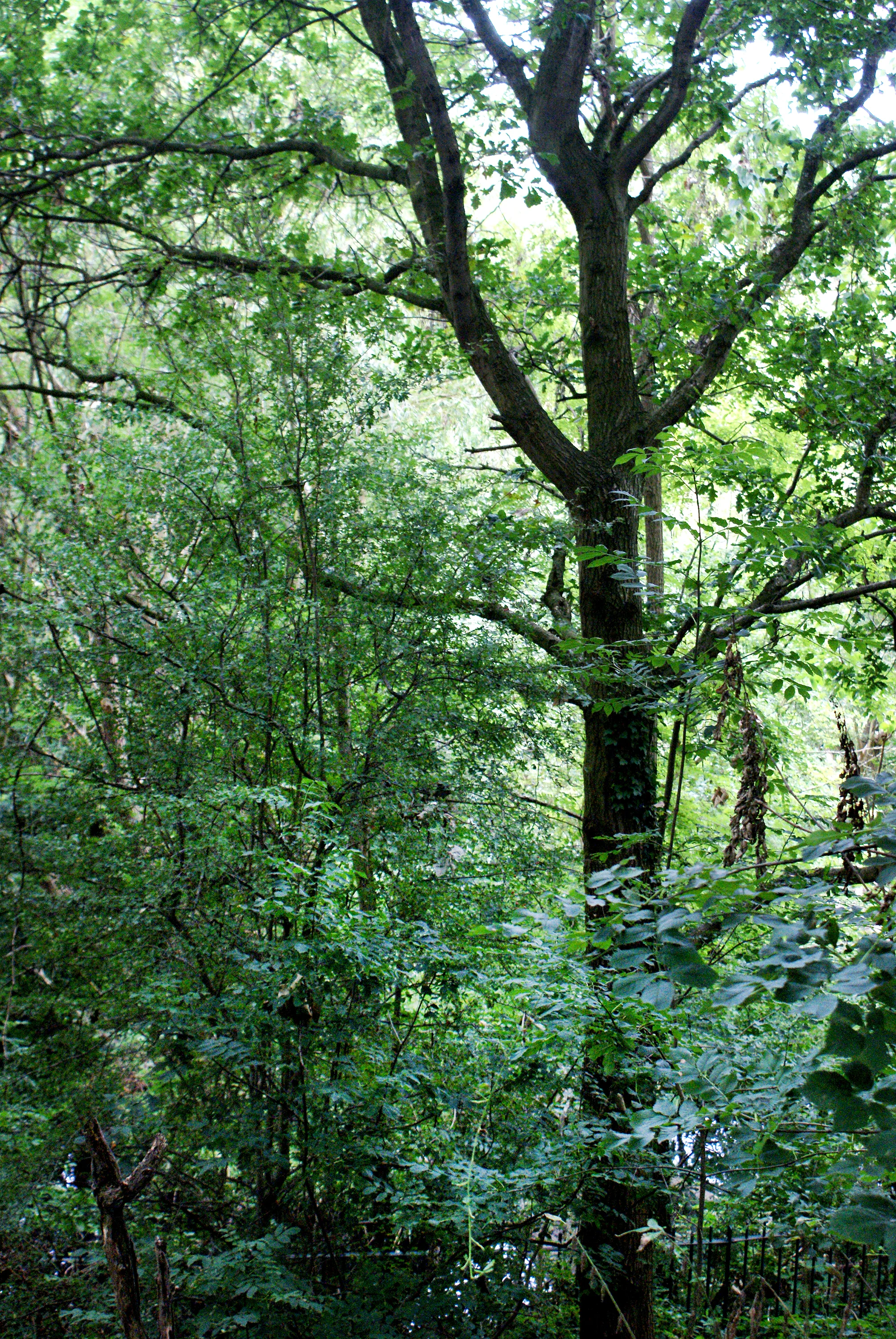 Photo by Lynne Barry