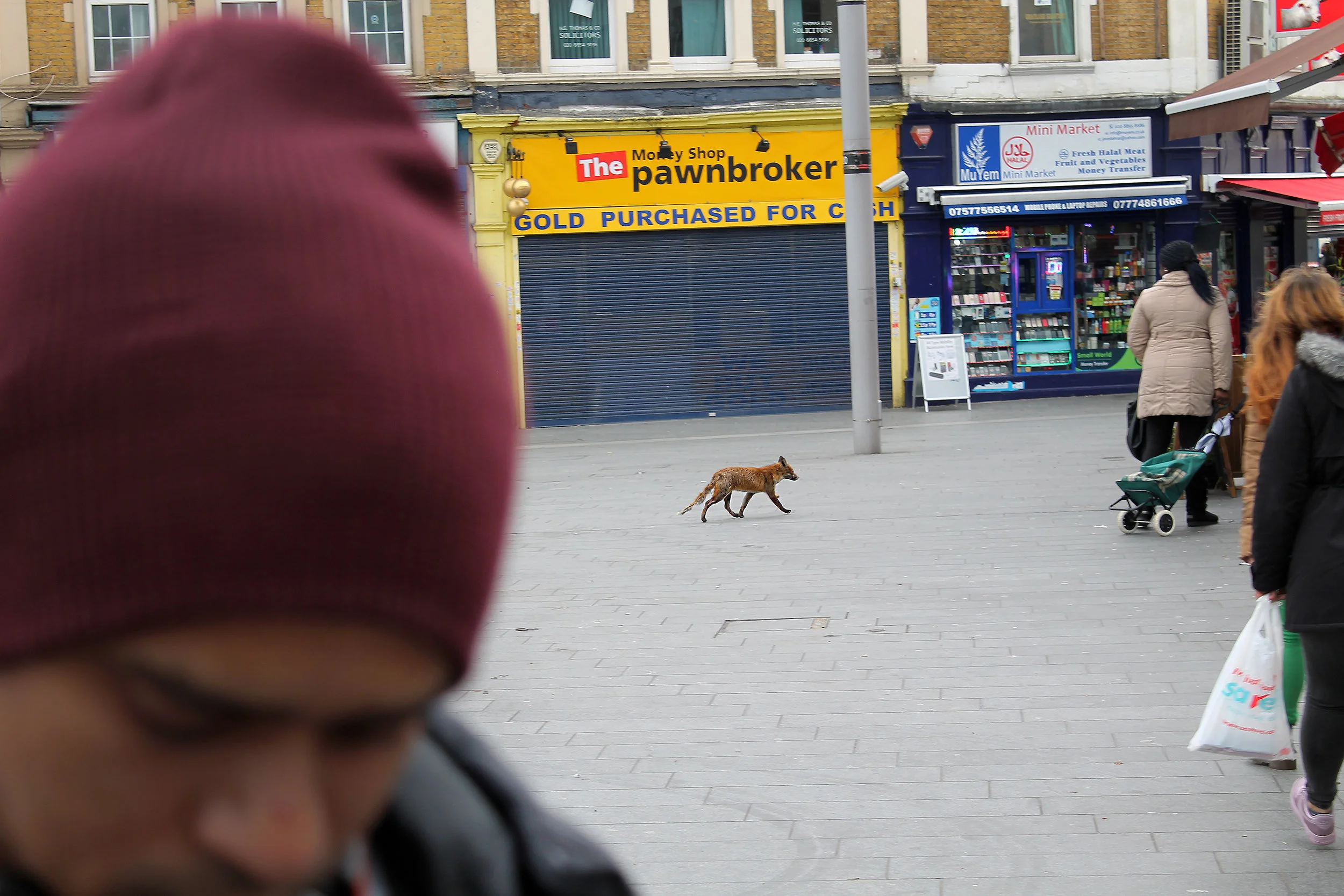 Photo by Michael Walsh