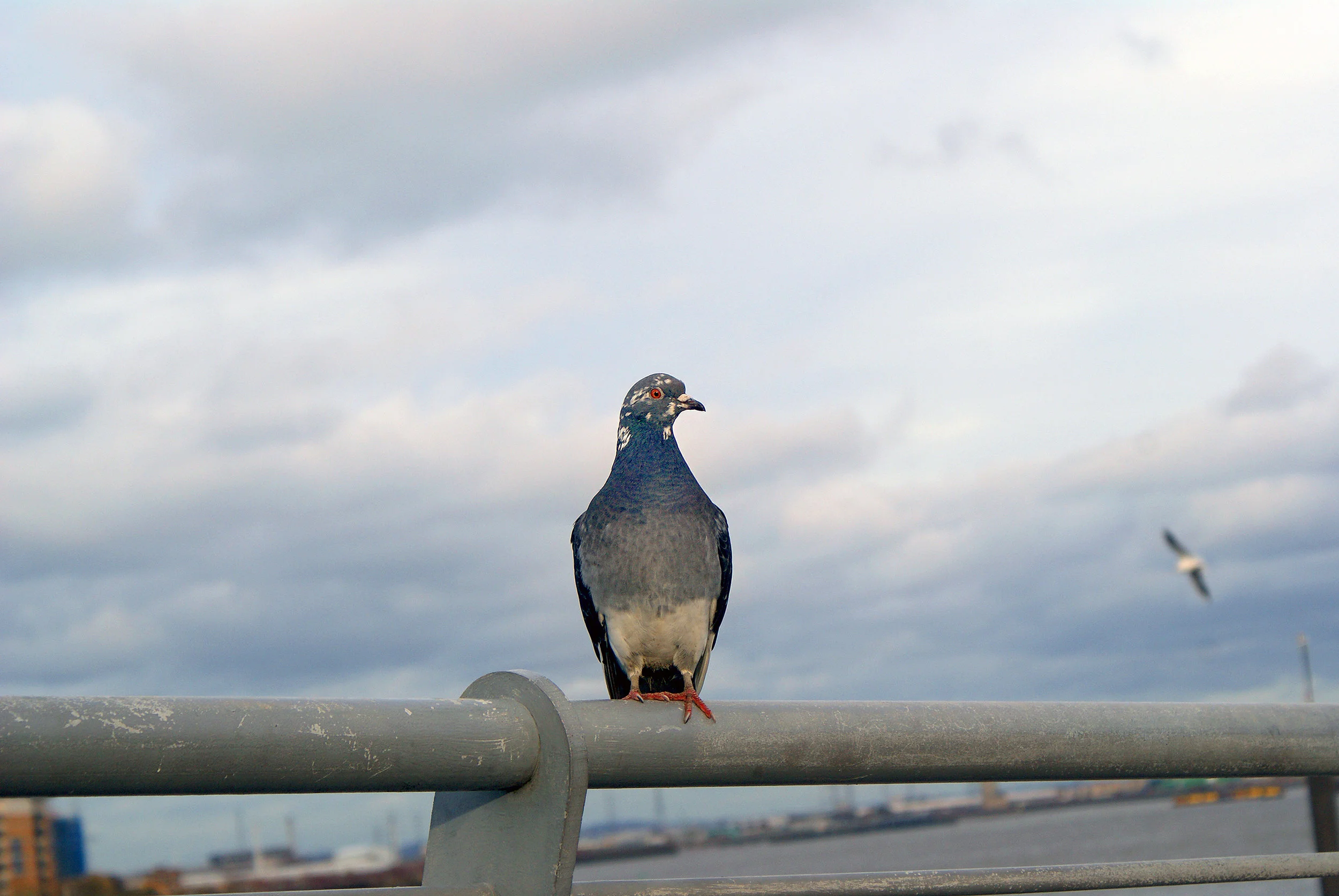 Photo by  Md Rahat Khan